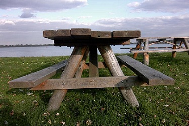 picnic_resize